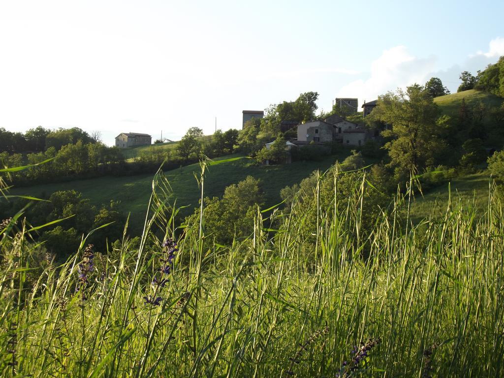Villa La Ciastra Ed San Michel Terenzo Exterior foto